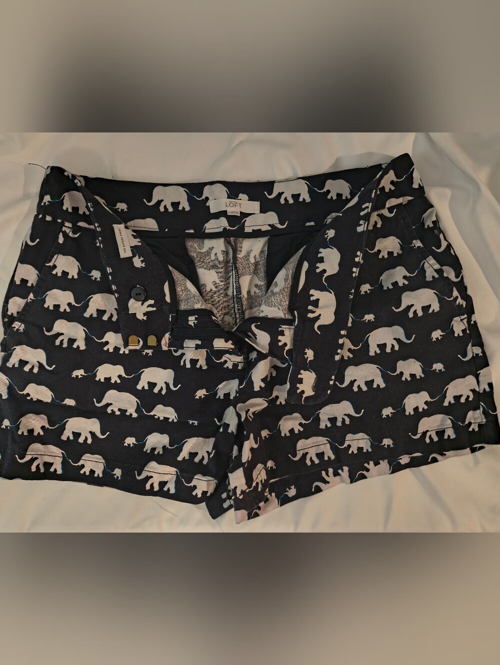 LOFT Women's Elephant Print Shorts Size 10